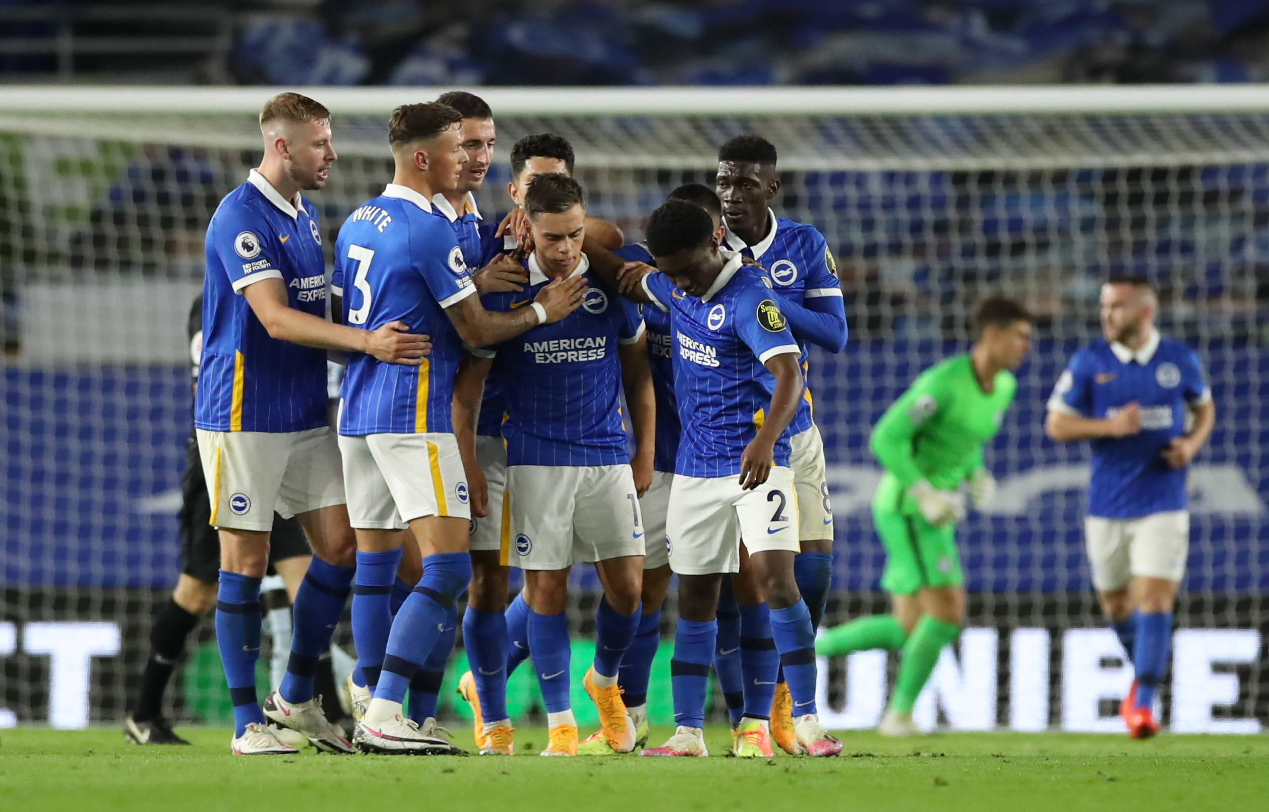 新加坡羽毛 新加坡羽毛