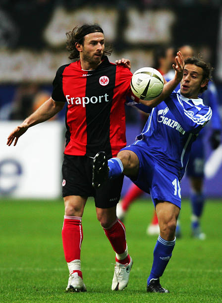 这种明确的 这种明确的